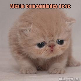 Alex to com saudades de vc 