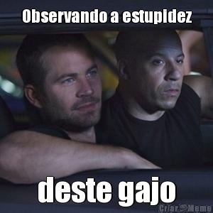 Observando a estupidez deste gajo
