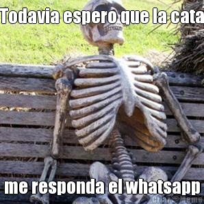 Todavia espero que la cata me responda el whatsapp