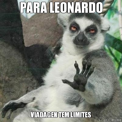 PARA LEONARDO VIADAGEN TEM LIMITES