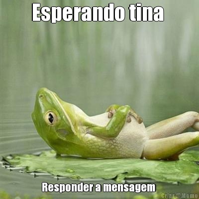 Esperando tina  Responder a mensagem 