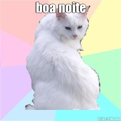 boa noite 
