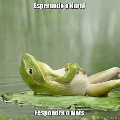 Esperando a Karol  responder o wats 