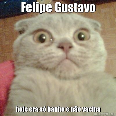 Felipe Gustavo hoje era s� banho e n�o vacina