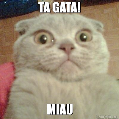 TA GATA! MIAU