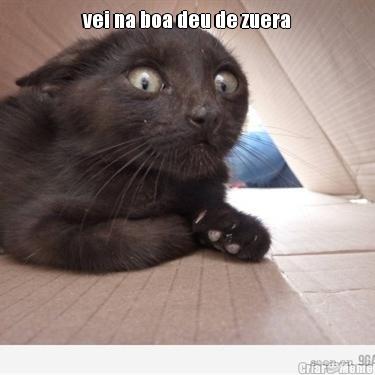 vei na boa deu de zuera 