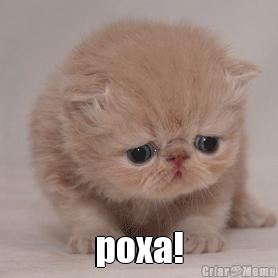  poxa!