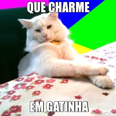 QUE CHARME  EM GATINHA
