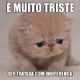 � MUITO TRISTE SER TRATADA COM INDIFEREN�A