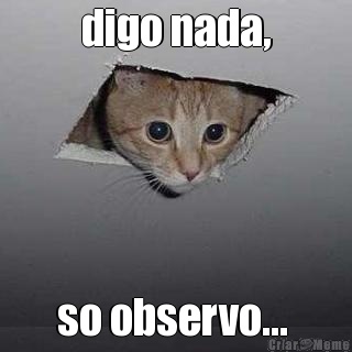 digo nada, so observo... 