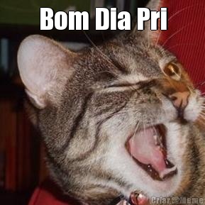 Bom Dia Pri 