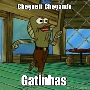 Chegueii  Chegando  Gatinhas 