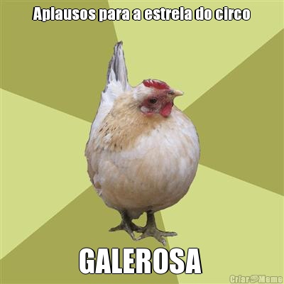 Aplausos para a estrela do circo GALEROSA 