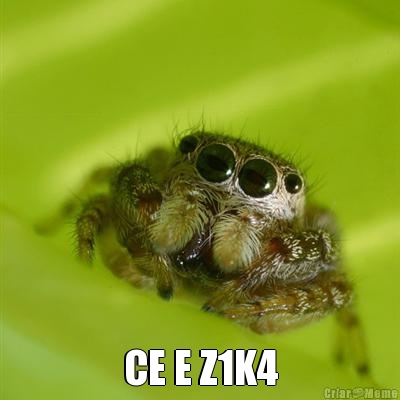  CE E Z1K4