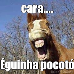 cara.... �guinha pocot�