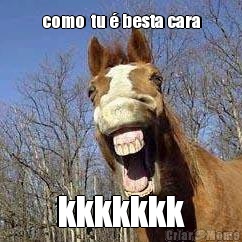 como  tu � besta cara kkkkkkk