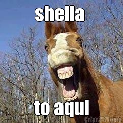 sheila  to aqui
