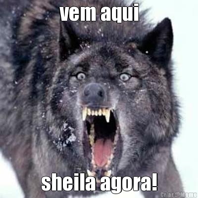 vem aqui sheila agora!