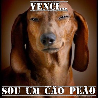 Venci... Sou um c�o pe�o