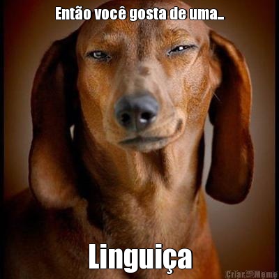 Ent�o voc� gosta de uma... Lingui�a