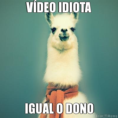 V�DEO IDIOTA IGUAL O DONO
