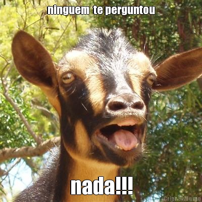 ninguem  te perguntou nada!!!