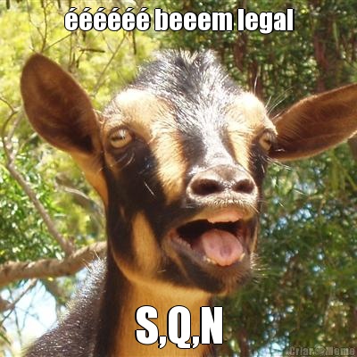 ������ beeem legal S,Q,N