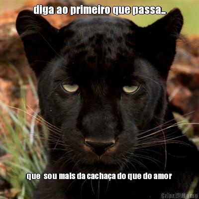 diga ao primeiro que passa... que  sou mais da cacha�a do que do amor