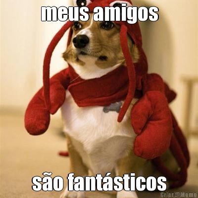 meus amigos s�o fant�sticos