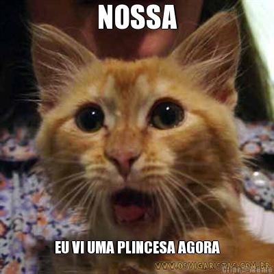 NOSSA EU VI UMA PLINCESA AGORA