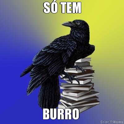 S� TEM BURRO 