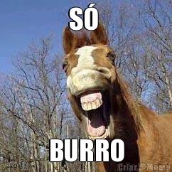 S�  BURRO