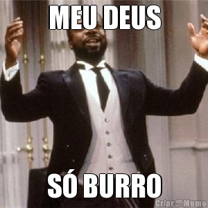 MEU DEUS S� BURRO