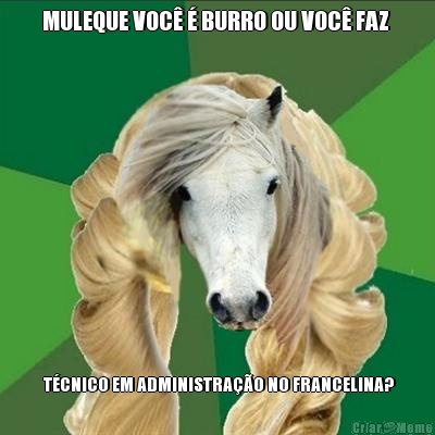 MULEQUE VOC� � BURRO OU VOC� FAZ   T�CNICO EM ADMINISTRA��O NO FRANCELINA?