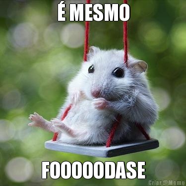 � MESMO FOOOOODASE