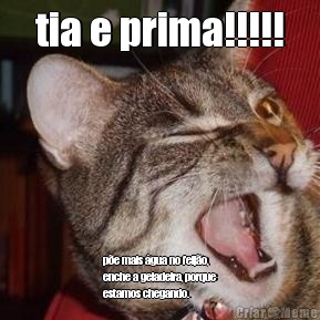 tia e prima!!!!! p�e mais �gua no feij�o,
enche a geladeira, porque
estamos chegando.