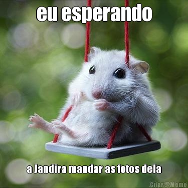 eu esperando a Jandira mandar as fotos dela