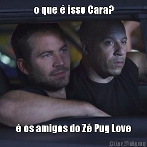 o que � isso Cara? � os amigos do Z� Pug Love