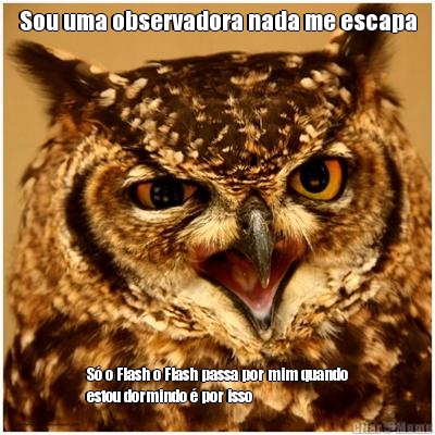 Sou uma observadora nada me escapa S� o Flash o Flash passa por mim quando
estou dormindo � por isso