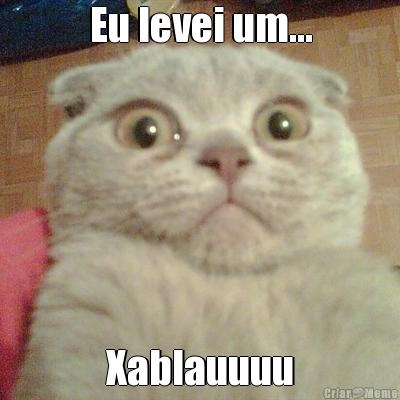Eu levei um... Xablauuuu
