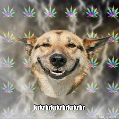  krkrkrkrkrkrkrkrkr
