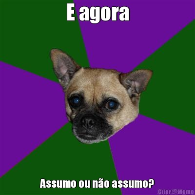 E agora Assumo ou n�o assumo?