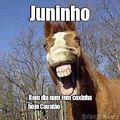 Juninho Bom dia num tem coxinha
hoje Caval�o