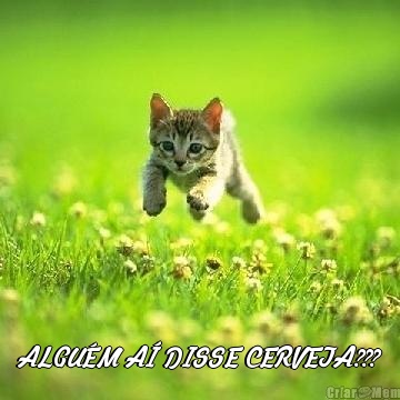  ALGU�M A� DISSE CERVEJA???