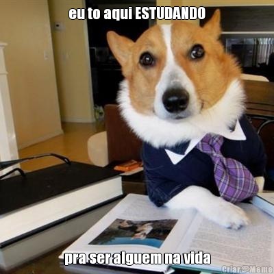 eu to aqui ESTUDANDO pra ser alguem na vida