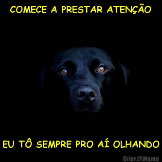 COMECE A PRESTAR ATEN��O EU T� SEMPRE PRO A� OLHANDO
