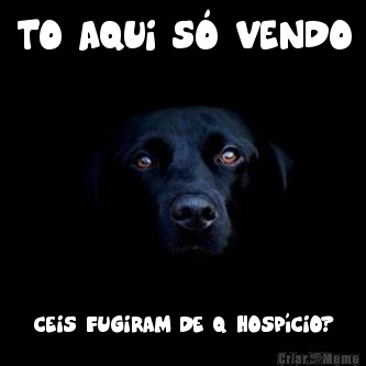 TO AQUI S� VENDO CEIS FUGIRAM DE Q HOSP�CIO?