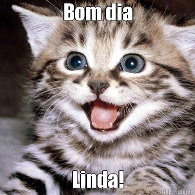 Bom dia Linda!