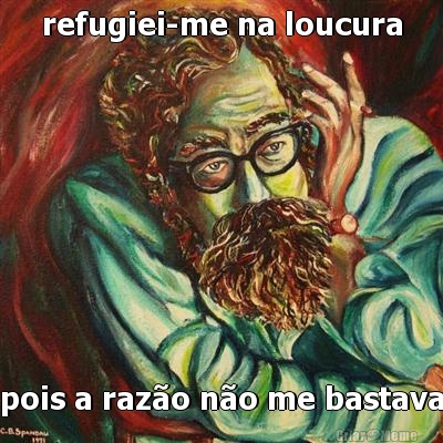 refugiei-me na loucura pois a raz�o n�o me bastava
