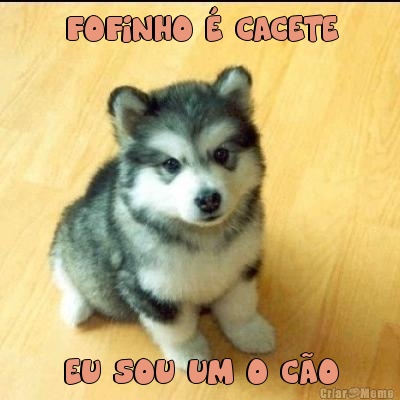 FOFINHO � CACETE EU SOU UM O C�O
